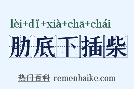 肋底下插柴是什么意思的图片